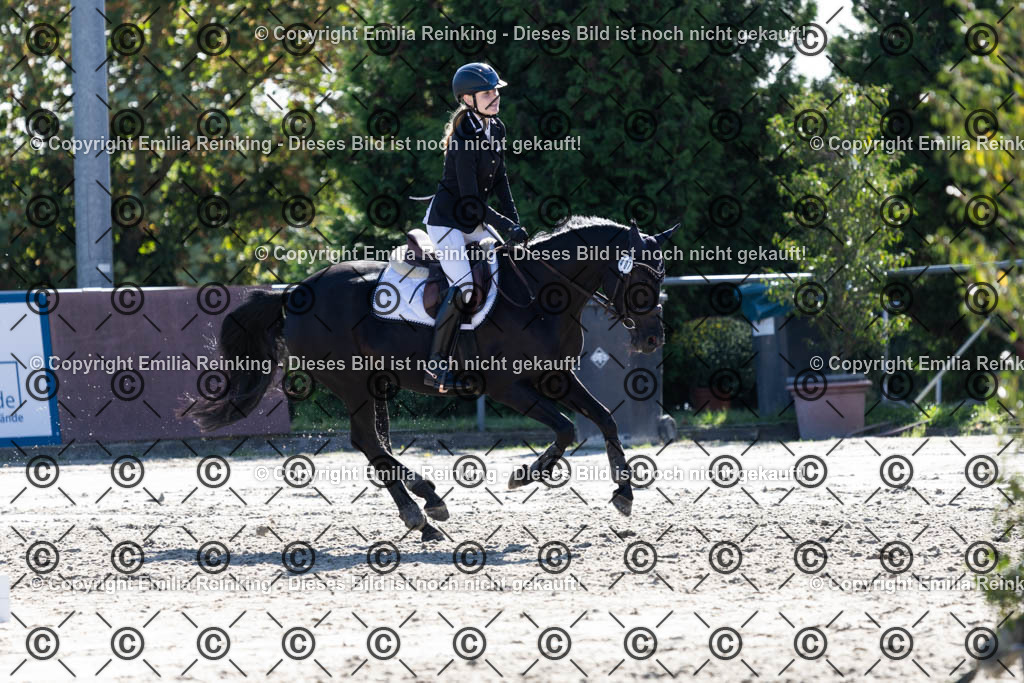 CL5A1381 | Emilia Reinking Fotografie - Realisiert mit Pictrs.com