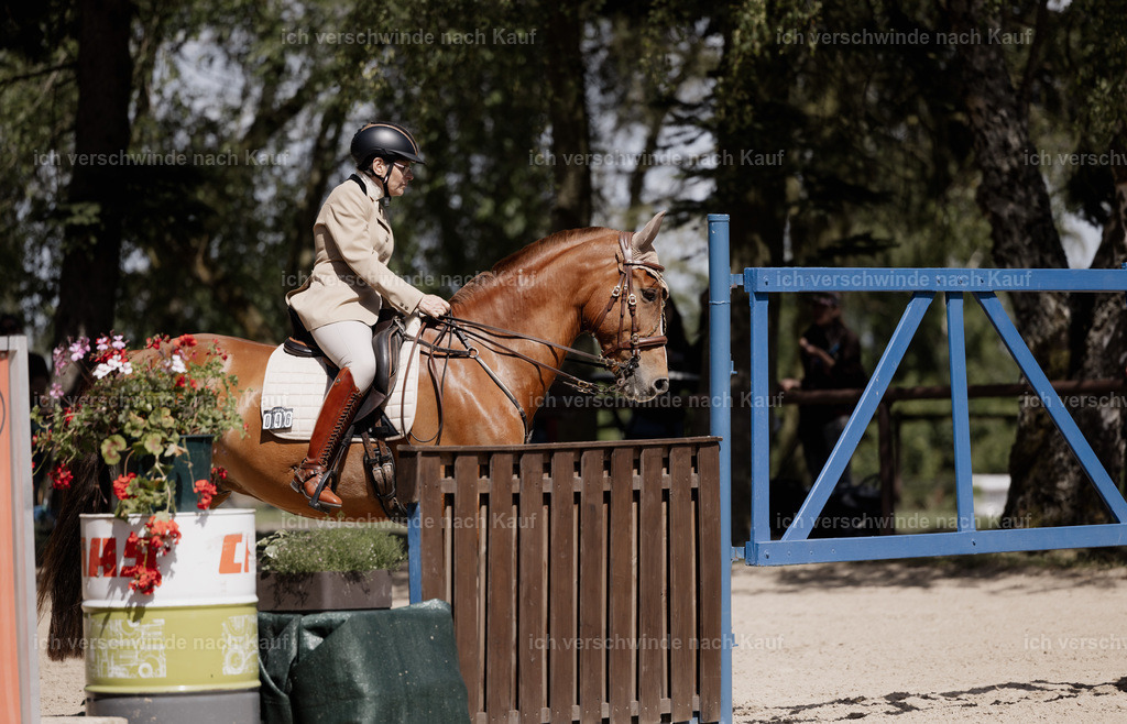 KlasseM_stoibphotography_C2_C9261.CR3 | working equitationturnier fotograf videograf stoibphotography marixx film working equitation deutschland reitsport turnierfotografie eventfotografie equestrian events