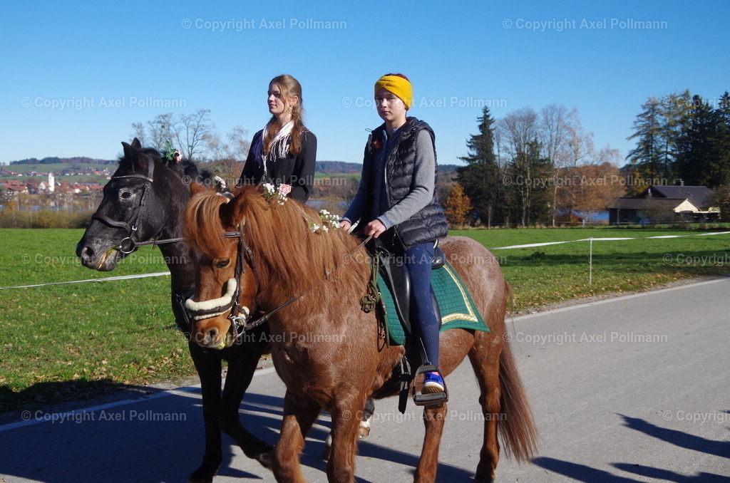 IMGP7823 | fotografiert von Axel PollmannLeonhardi Wallfahrt Benediktbeuern und Murnau, Fronleichnam, Fasching, Landschaft im Loisachtal und Benediktbeuern  - Realisiert mit Pictrs.com
