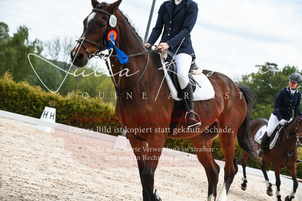 20230518_JK-Röhrsdorf-10-868 | Pferde- und Turnierfotografie in Westsachsen. Pferdeportraits, Auftragszeichnungen und intuitive Kunst.