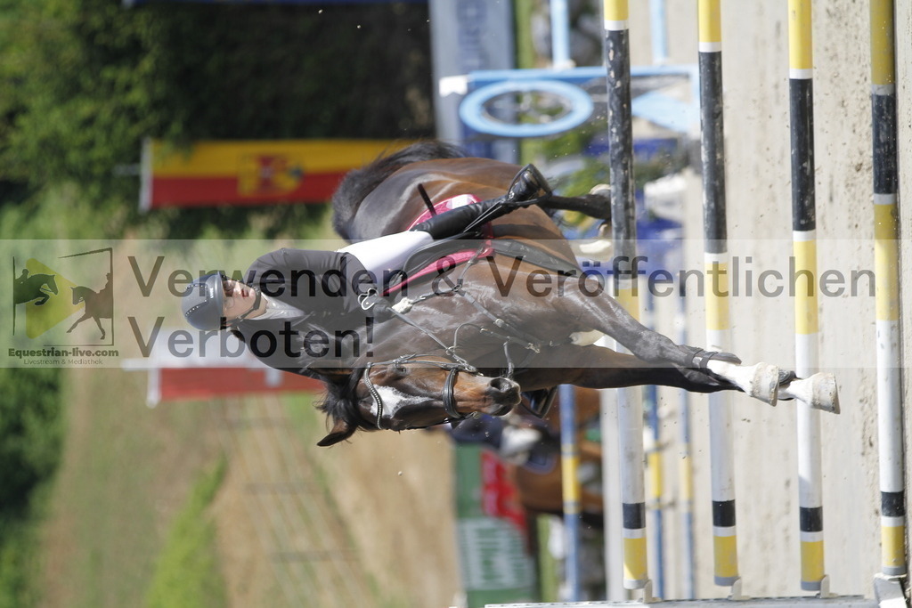 _MG_8633 | equestrian-live-com