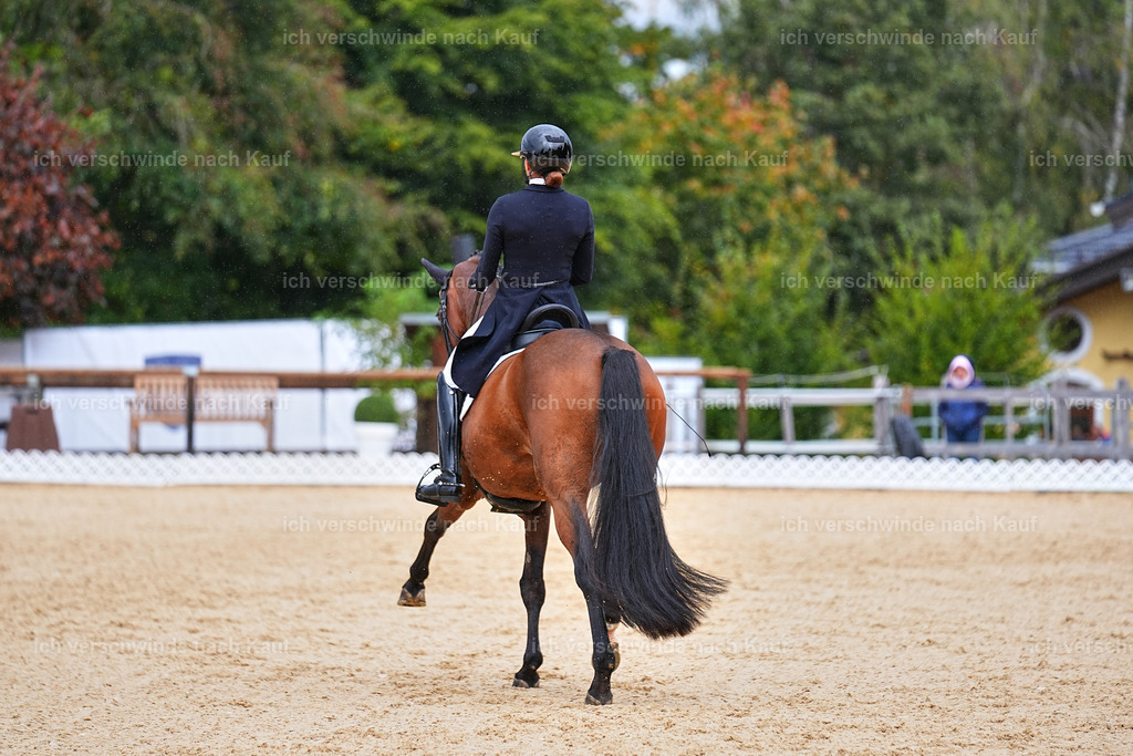 8_1-100-Klasse S_  -Marixx-4195 | working equitationturnier fotograf videograf stoibphotography marixx film working equitation deutschland reitsport turnierfotografie eventfotografie equestrian events