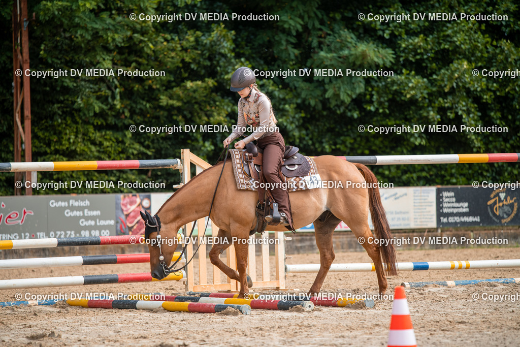 ZS2_7532 | dv-media-shop - Realisiert mit Pictrs.com