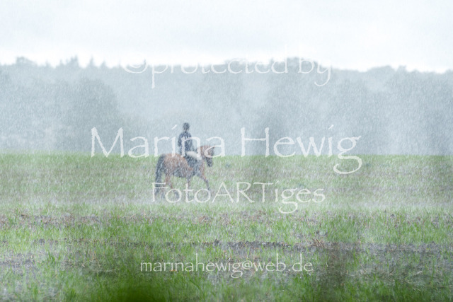Jagd Perdoel 26 Sony-03384_MarinaHewig | Fotografie, FotoArt, PferdesportArt, Pferdesportfotografie, Landschaftsfotografie, Reisefotografie, Reise, Pferde - Realisiert mit Pictrs.com