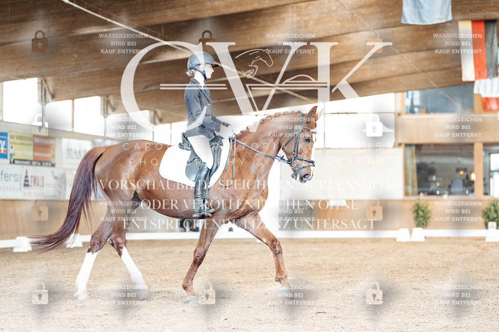 CK900949 | Turnierfotografie Pferdefotografie Trier Rheinland-Pfalz Pferdesport Reitsport Tierfotografie Sportfotografie Pferdevideo Pferdevideografie Equestrianvideography equestrianphotography  - Realisiert mit Pictrs.com