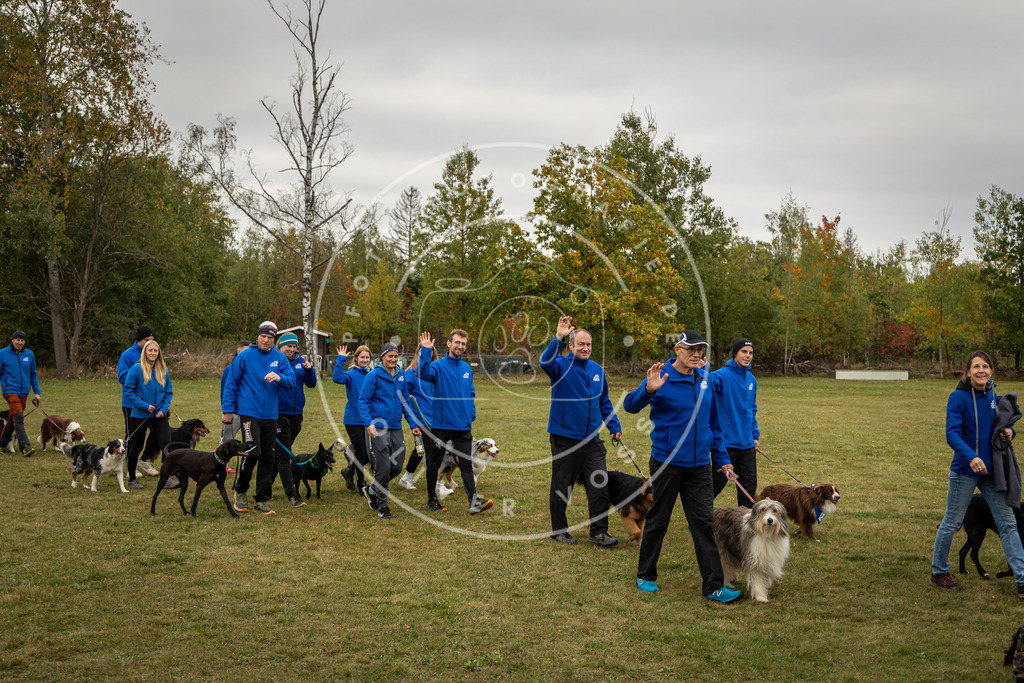 Pfotenfotografie_0L8A0295 | Hundefotografie, Tierfotograf, Pfotenfotografie, Fotoshooting Hund, Hunde Portrait, Hundesport, Hundeportraits, Heideshooting, Hunde, Sportfotograf, Hundefotograf, Turnierhundsport, THS,  - Realisiert mit Pictrs.com