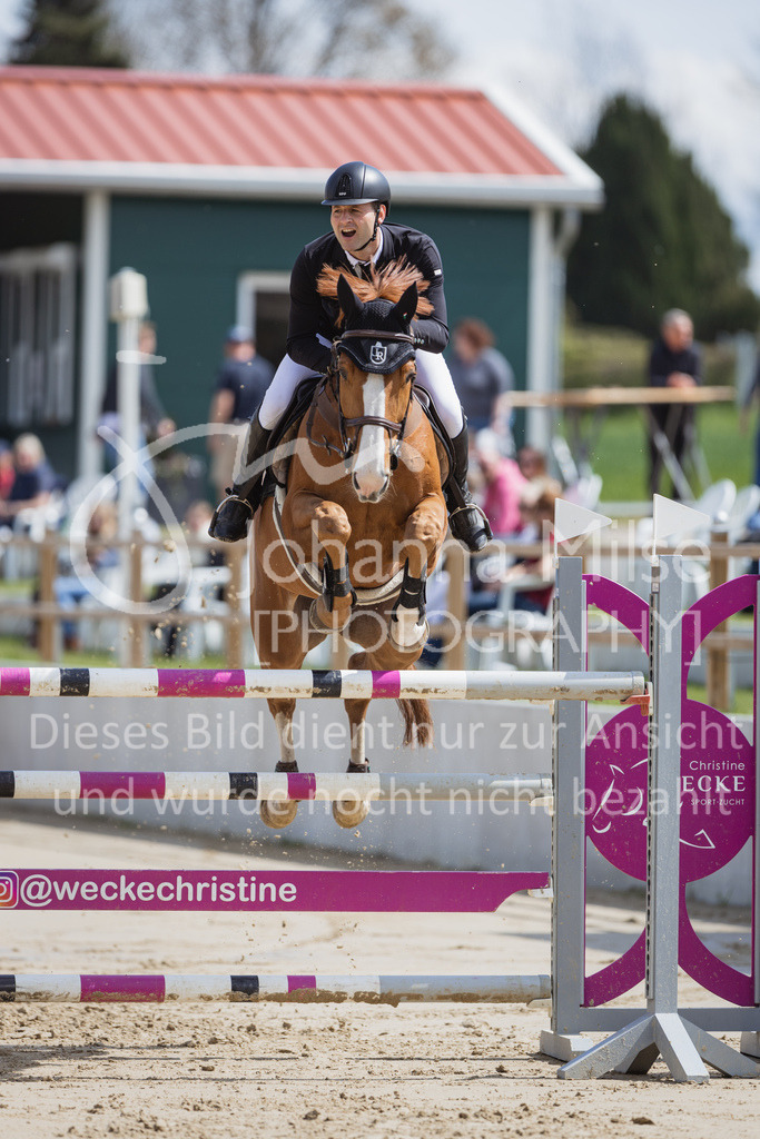 230501_SpengeW_M2St-146 | Deine schönsten Turniermomente als professionelle Fotos! Entdecke hochwertige Pferdesport-Fotografie im Online-Shop. Jetzt Fotos finden & bestellen!