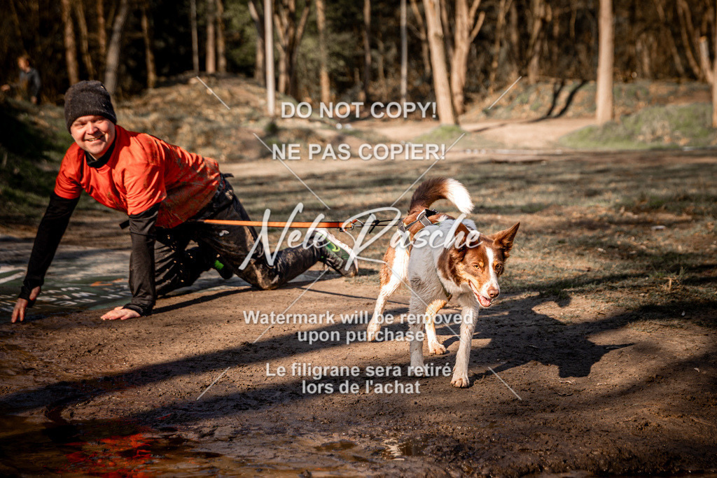 nelerasche_CCNL26_So0945-1030_425 | nelerasche