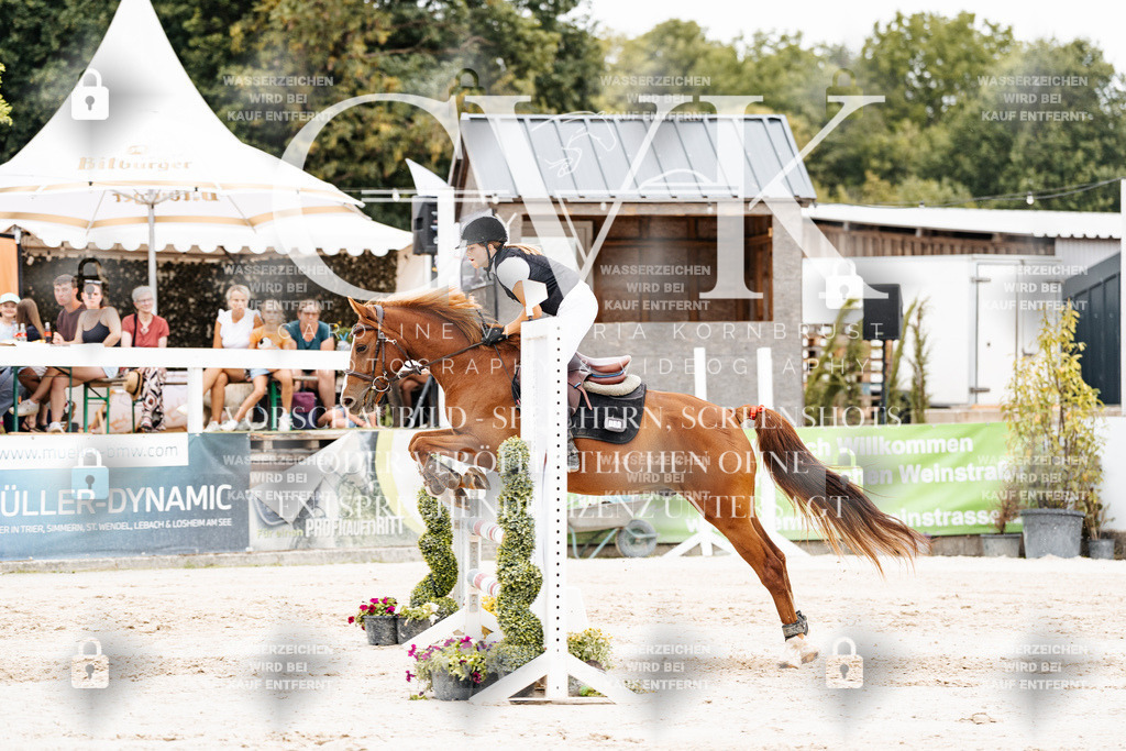 CK908227 | Turnierfotografie Pferdefotografie Trier Rheinland-Pfalz Pferdesport Reitsport Tierfotografie Sportfotografie Pferdevideo Pferdevideografie Equestrianvideography equestrianphotography  - Realisiert mit Pictrs.com