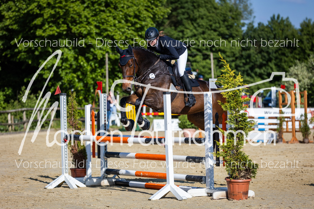 Donop24-ASpr-111 | MomenTaufnahmen Pferdesportfotos