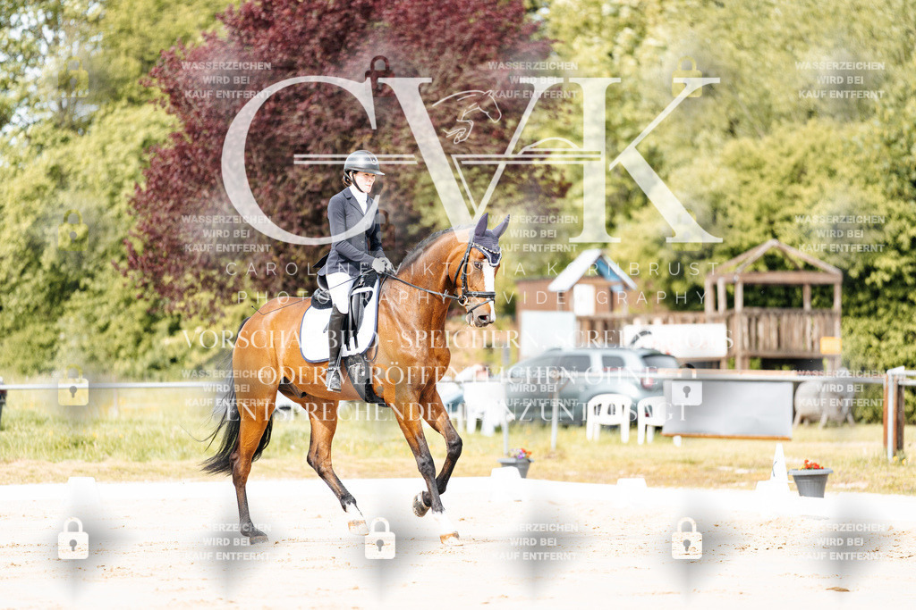 CK900705 | Turnierfotografie Pferdefotografie Trier Rheinland-Pfalz Pferdesport Reitsport Tierfotografie Sportfotografie Pferdevideo Pferdevideografie Equestrianvideography equestrianphotography  - Realisiert mit Pictrs.com