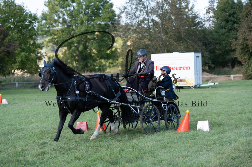 A7V04479 | Pferdefotograf