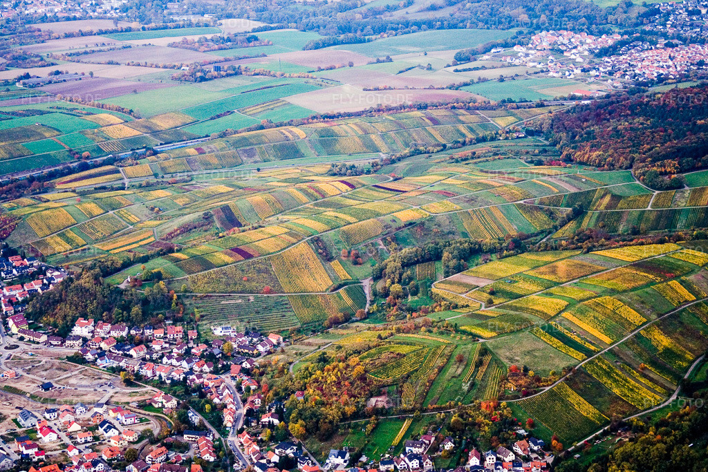 Luftbild: Weinberge Richtung Wiesloch in Rauenberg im Bundesland Baden-Württemberg in Deutschland. Foto: IMG_14200.jpg vom 12.10.2008 durch Werner Riehm/FLY-FOTO.de