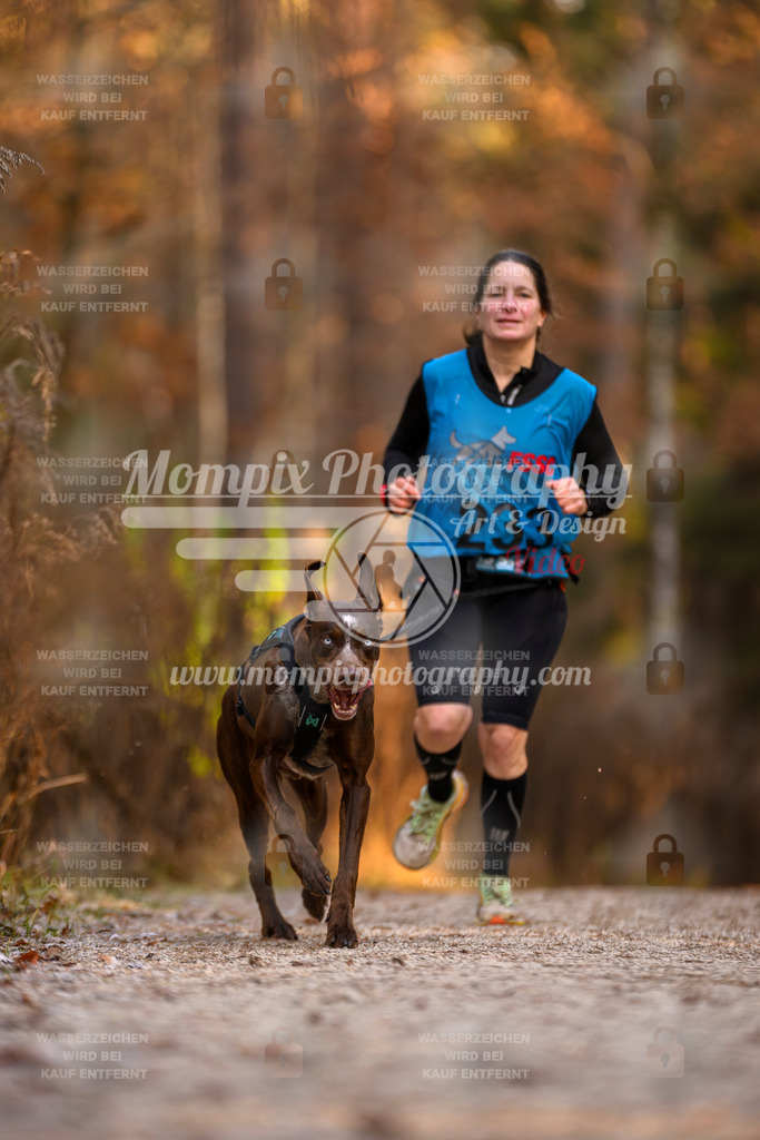 MompixPhotography_DM_AKDM_SO_2025_-63 | PayLife