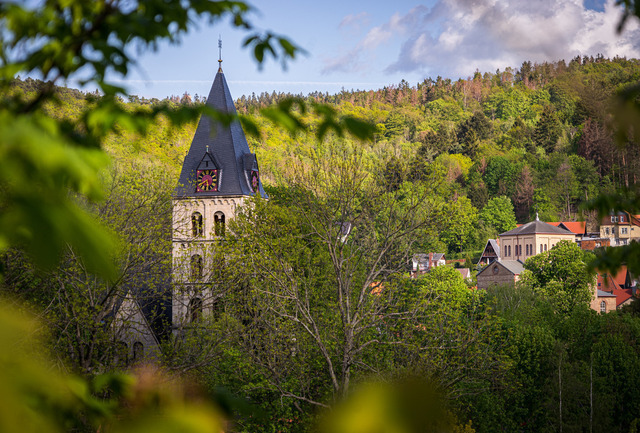 20190512-DSC00358__HQ | Fotos aus Wernigerode - Realisiert mit Pictrs.com