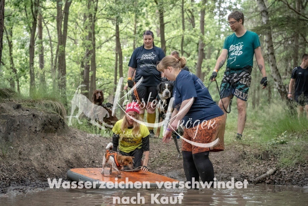 1206_ZZ96959T | kk-dogfotos