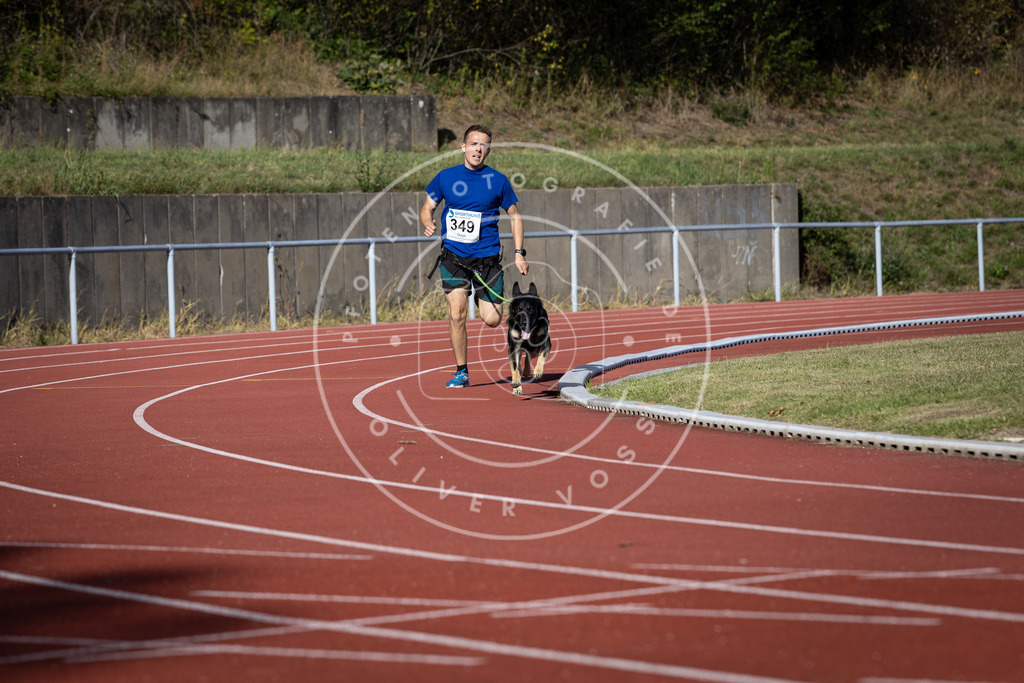 Pfotenfotografie_DV3A9157 | Hundefotografie, Tierfotograf, Pfotenfotografie, Fotoshooting Hund, Hunde Portrait, Hundesport, Hundeportraits, Heideshooting, Hunde, Sportfotograf, Hundefotograf, Turnierhundsport, THS,  - Realisiert mit Pictrs.com