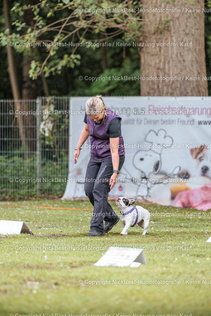RO-Blumenthal-2026-Nickbest-Hundefotografie-0026 | Dein Hund! Dein Moment! Deine Erinnerungen! Hundefotografie in Bremen Blumenthal. Ich fange die besonderen Momente deines Vierbeiners ein – ob Indoor mit Blitzanlage oder in der freien Natur. Sicher dir dein Moment und dein Termin für eure Erinnerungen.