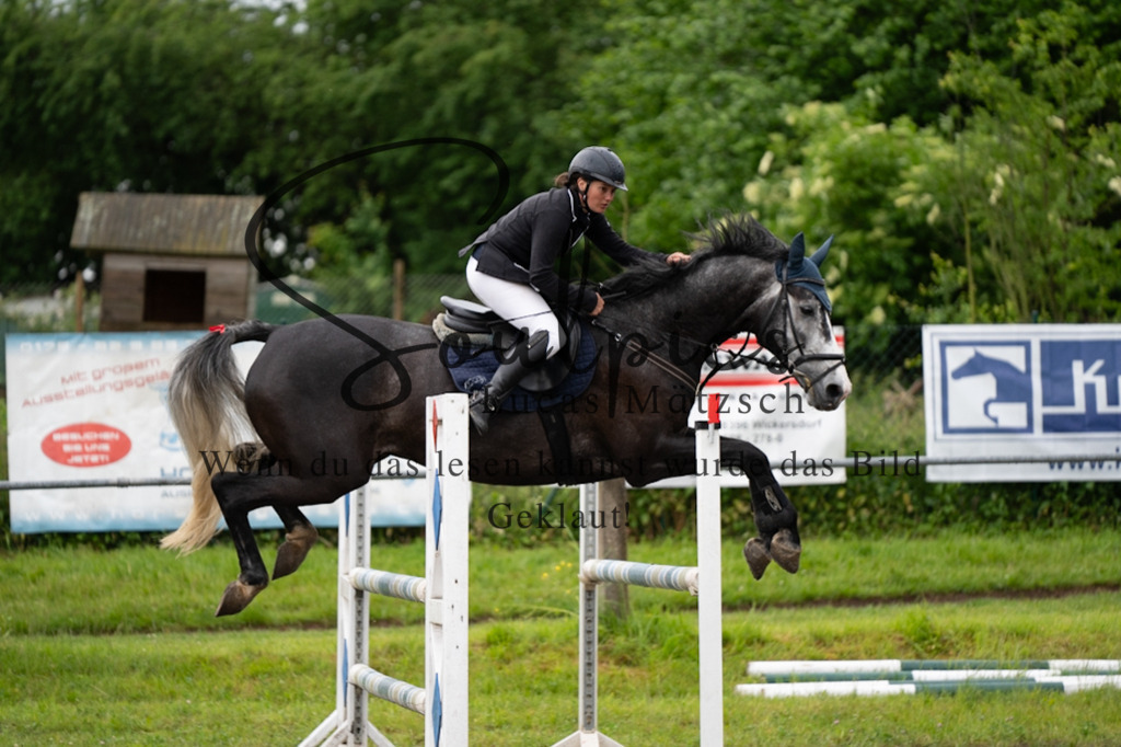 A7V05162 | Pferdefotograf