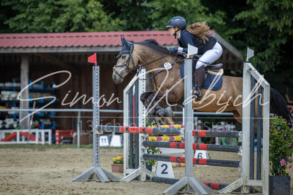 20260704-_3LI0817 | Tierfotografie Pferde, Hunde, Katzen, Haustiere.
Turnierfotografie Reitturniere, Reiten, Springreiten, Dressur in Hanau, dem Main-Kinzig-Kreis und dem Rhein-Main- Gebiet um Frankfurt