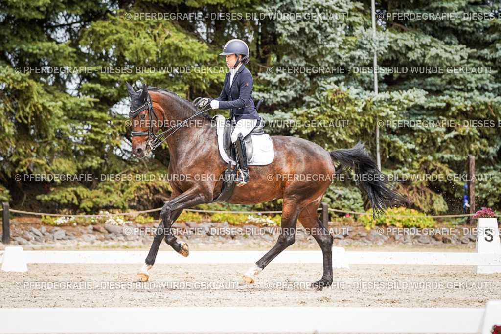 DSC05571 | Pferdegrafie