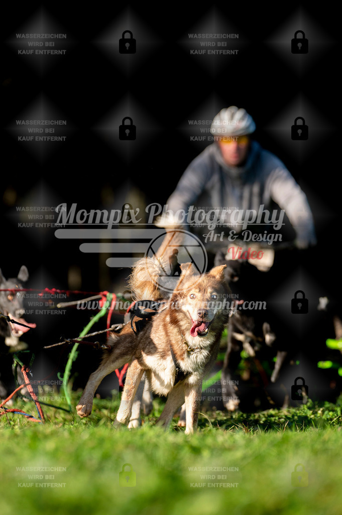 TSB_2023_E7_Kart-6 | PayLife