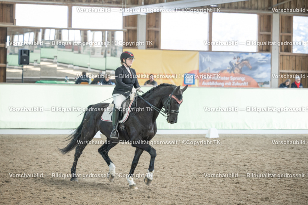 _D5A2719 | Emotionale Pferde- & People-Fotografie rund um Heidelberg, Leimen & Umgebung. Natürliche Fotos von Pferd, Mensch & Familie. Jetzt Termin sichern!