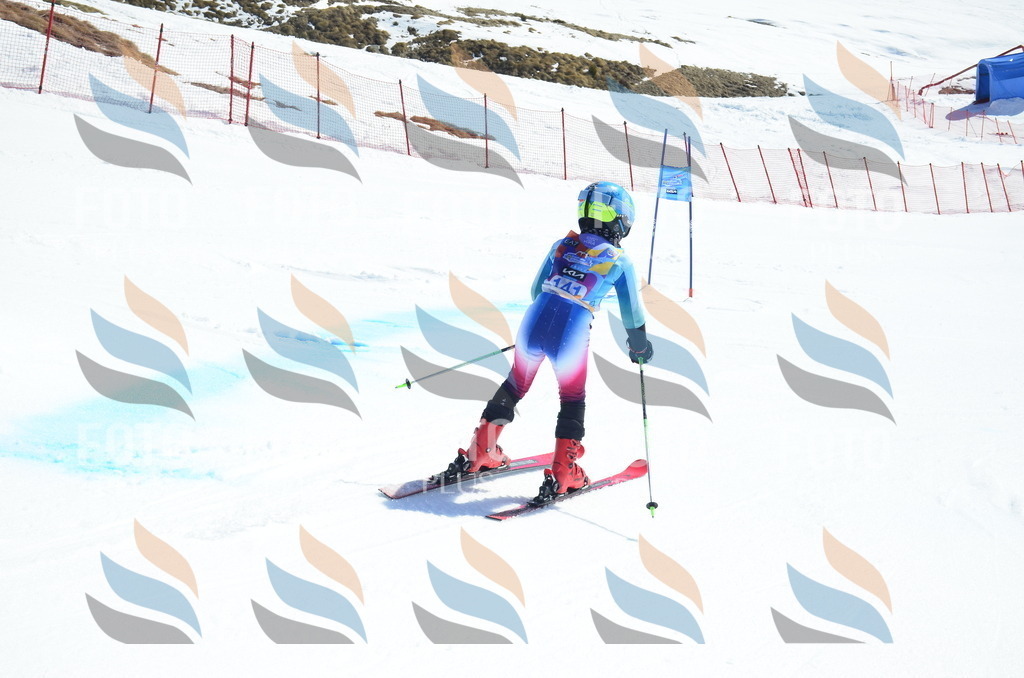 _ELE0914 | holidayphoto