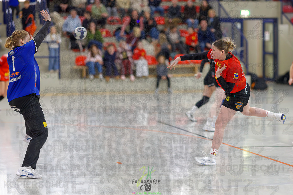 Frauen Regionalliga (HHV); HSG Wettenberg - HSG Twistetal | Frauen Regionalliga (HHV); HSG Wettenberg - HSG Twistetal am 08.11.2025 in Launsbach (Wettenberg) (Halle GS Launsbach (Wettenberg))Photo © 2025 - Jörg Heinrich - Realisiert mit Pictrs.com