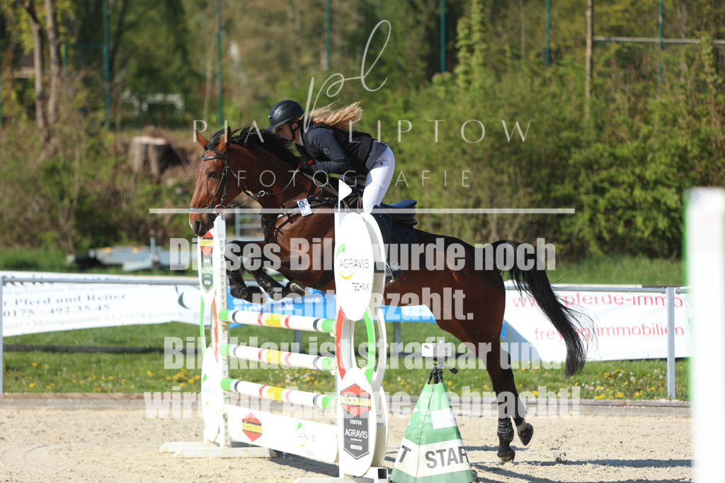 IMGM2598 | pl-fotografie