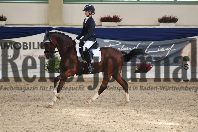 Ising_2025_Prfg.Nr.20_Pony-Dressurprfg.Kl.L_Kür_Valentina Sedlmayer_Der Duke 2 (5) | Alle Fotos der Reiterjournal Fotografin Doris Matthaes im Reiterjournal Online-Fotoshop. - Realisiert mit Pictrs.com