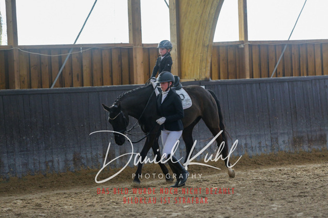 IMG_1313 | Turniersportfotografie; Pferdefotografie; Dressurfotografie