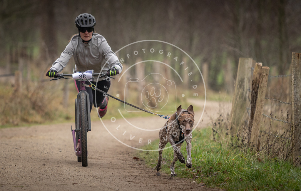 Pfotenfotografie_DV3A2411 | Hundefotografie, Tierfotograf, Pfotenfotografie, Fotoshooting Hund, Hunde Portrait, Hundesport, Hundeportraits, Heideshooting, Hunde, Sportfotograf, Hundefotograf, Turnierhundsport, THS,  - Realisiert mit Pictrs.com