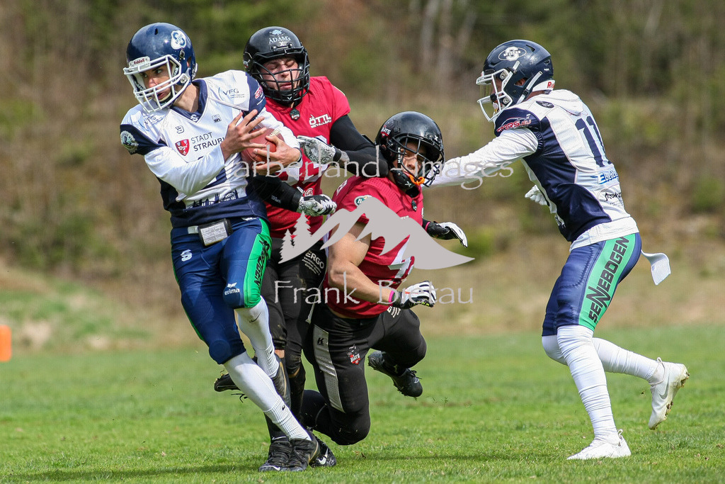 993T8703 | American Football / Spiegelau Bats - Straubing Spiders