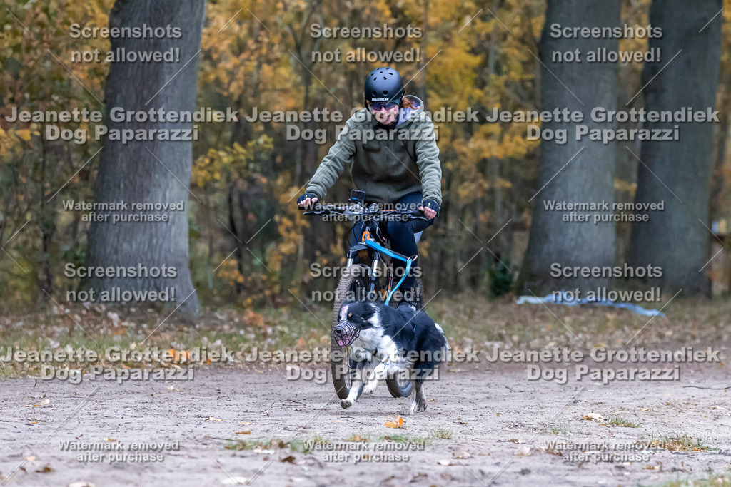 Dog Paparazzi - SD CaniX Championship 2025-258 | Dog Paparazzi Jeanette Grottendiek Fotografie & Videografie - Realisiert mit Pictrs.com