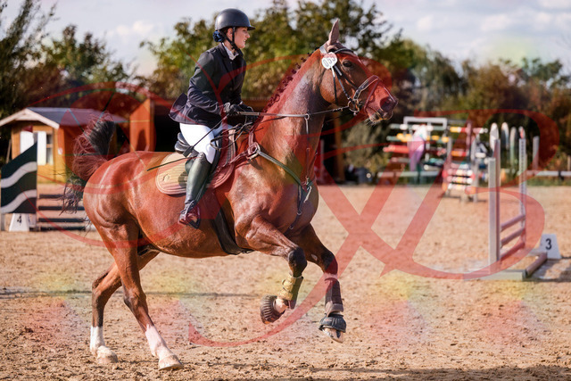 2026_10_03_Siefer-Hof_155539_Z81_75071573 | Professionelle Reitsport-, Turnier- und Eventfotografie von Robert Broda. Galerien mit ausgewählten und bearbeiteten Bildern direkt online ansehen und bestellen.