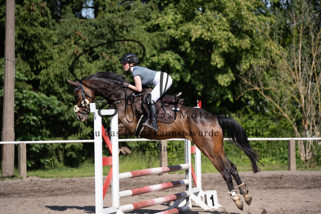 A7V03489 | Pferdefotograf