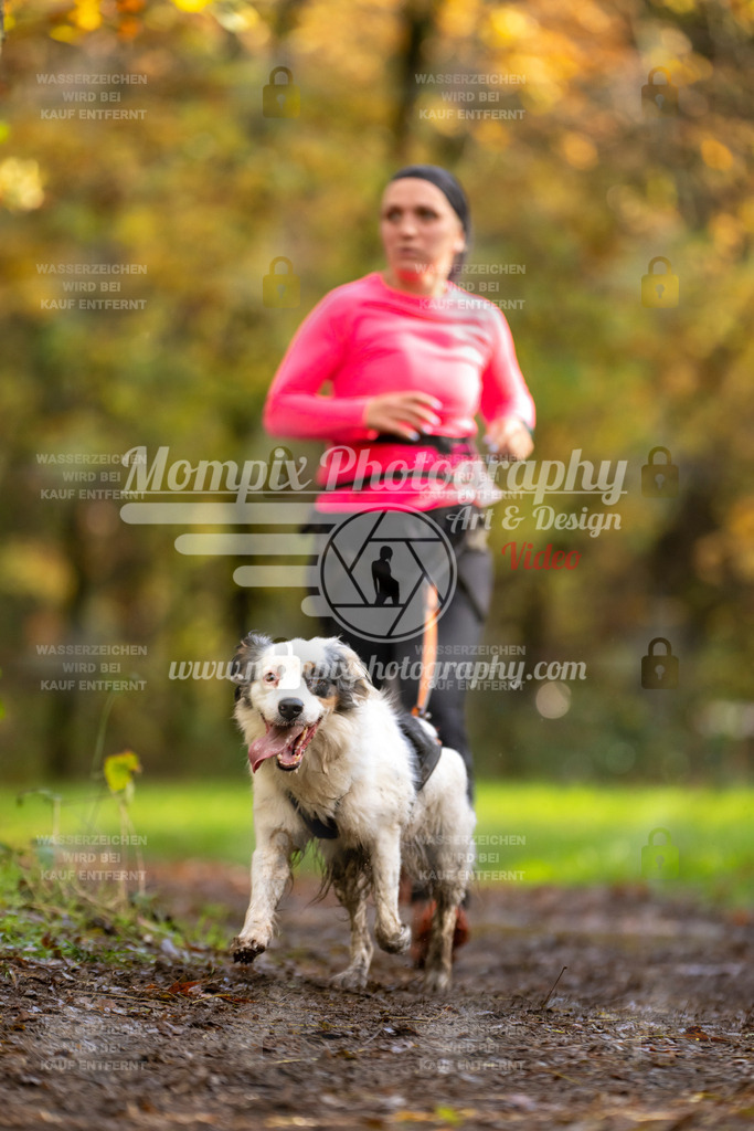 MompixPhotography_Bischwiller23_Canicross-127 | PayLife
