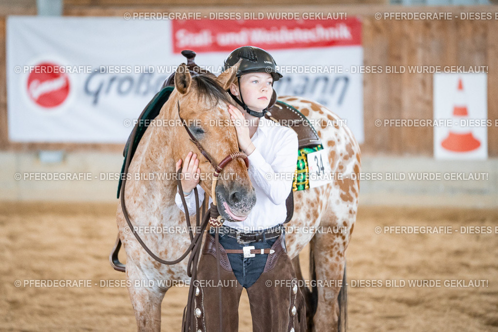 DSC01396 | Pferdegrafie