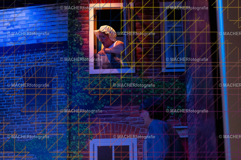 089_MFL-2025 | Portraitbilder von Regisseur; Darsteller; Techniker; Maske; Kostüme; Chor; Musiker; Bilderserie der Generalprobe und der Premierenvorstellung, Szenenbilder; Ausdrucksstudien; Bühnenüberblick; Bühnenkulissen; Pressefotos inkl. Redaktionsfoto Darstellergruppe.