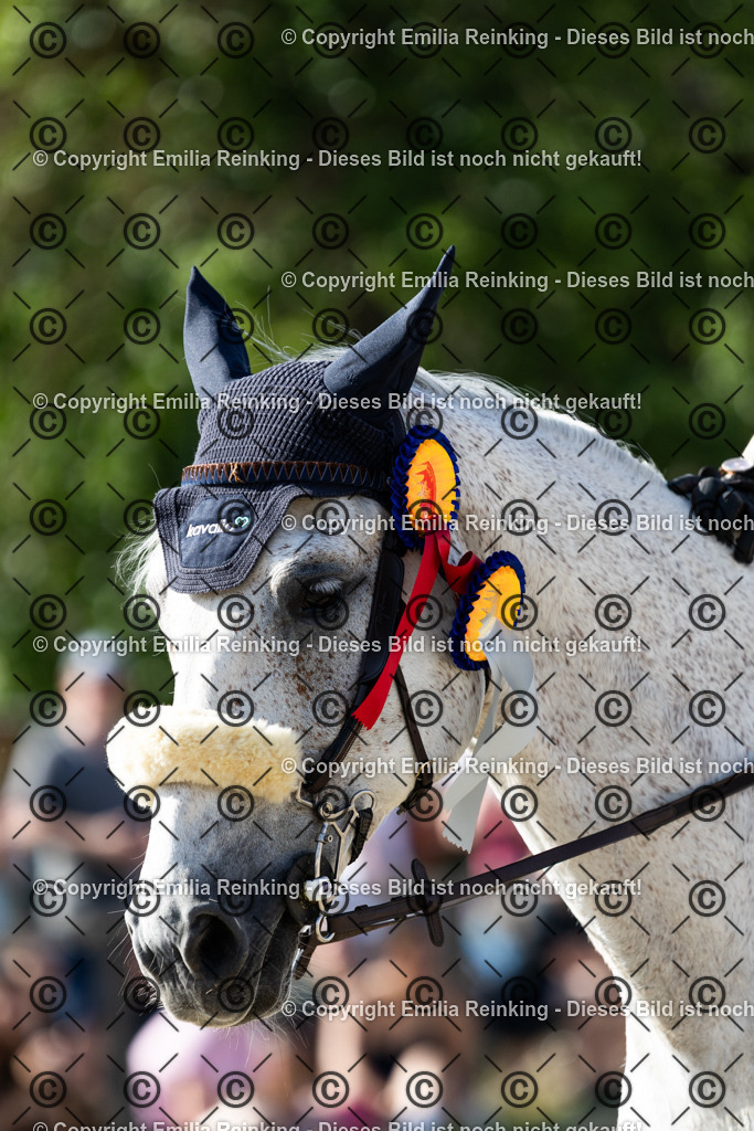 CL5A9624 | Emilia Reinking Fotografie - Realisiert mit Pictrs.com