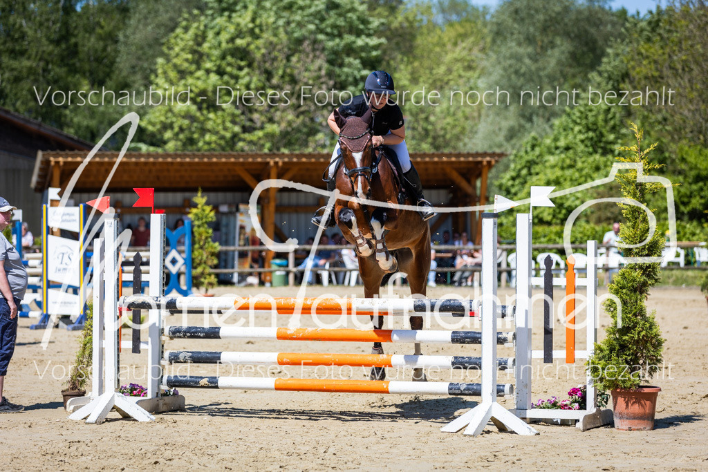 Donop24-ASprmstA-070 | MomenTaufnahmen Pferdesportfotos