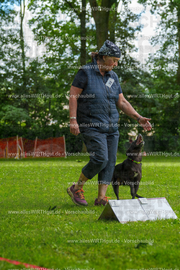 @allesWIRTHgut_Tierfotografie - www.allesWIRTHgut.de - 124353-7R509379 | Professionelle Tierfotografie in Mönchengladbach von Daniel Wirth (allesWIRTHgut). Liebevolle & natürliche Bilder von Hunden & Katzen für unvergessliche Erinnerungen.
