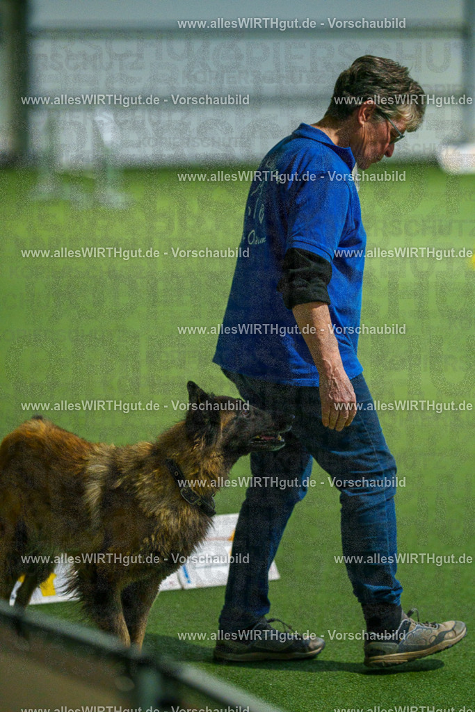 7R507852 | Professionelle Tierfotografie in Mönchengladbach von Daniel Wirth (allesWIRTHgut). Liebevolle & natürliche Bilder von Hunden & Katzen für unvergessliche Erinnerungen.