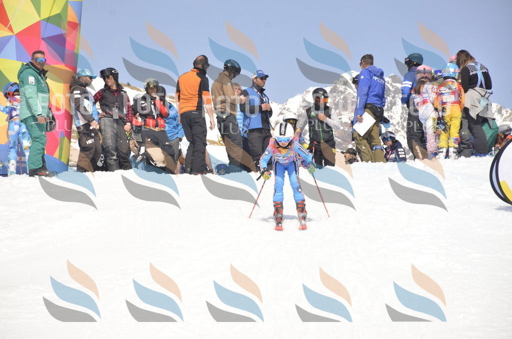 _ELE8980 | holidayphoto