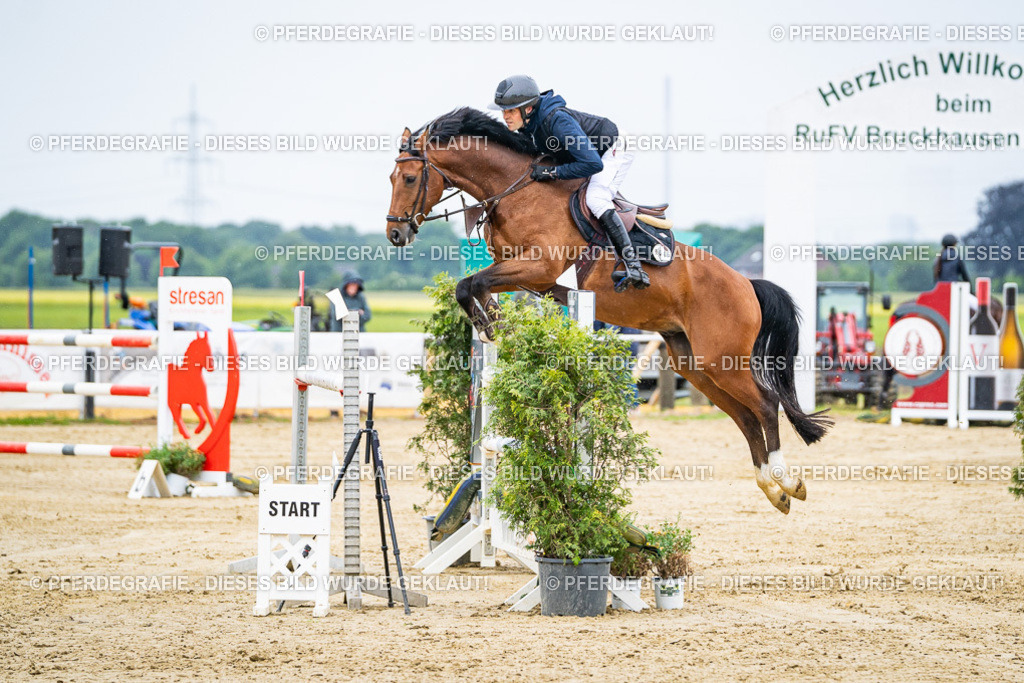 DSC08329 | Pferdegrafie