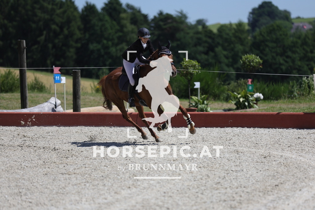 0P6A9647 | Willkommen bei Brunnmayr - Design & Fotografie – Ihrem Spezialisten für Reitturniere und Pferdeveranstaltungen in Oberösterreich, Salzburg und Bayern! Seit über 17 Jahren sind wir leidenschaftlich dabei.