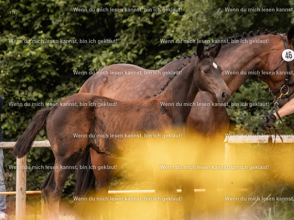 A10I4488 15.58.11 | photographylinaismer - Realisiert mit Pictrs.com