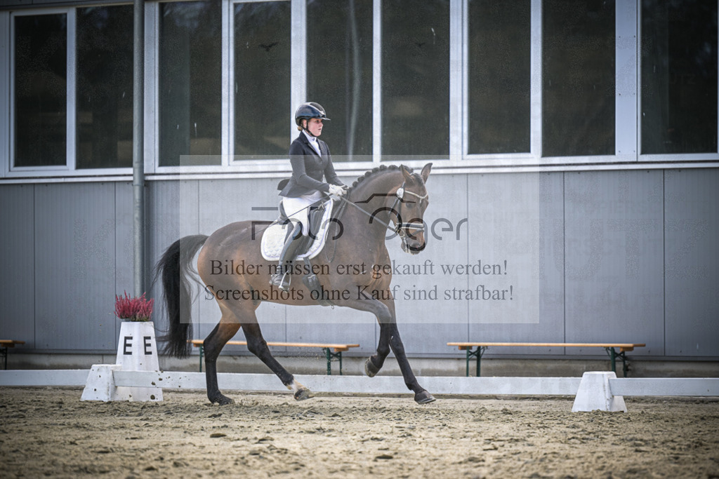 DOS_1693 | Entdecke hochwertige Reitturnierfotos von Foto Oger. Professionell, emotional und authentisch – jetzt Lieblingsmomente im Shop bestellen.Deutschlandweite Turnierfotografie. - Realisiert mit Pictrs.com