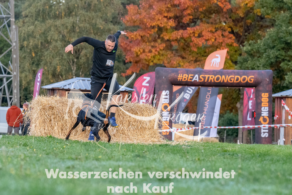 0811_ZZ94772-Bearbeitet | kk-dogfotos